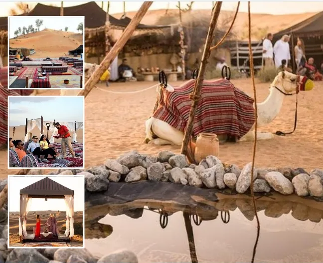 Bedouin Desert Camp Dubai Cultural Setup